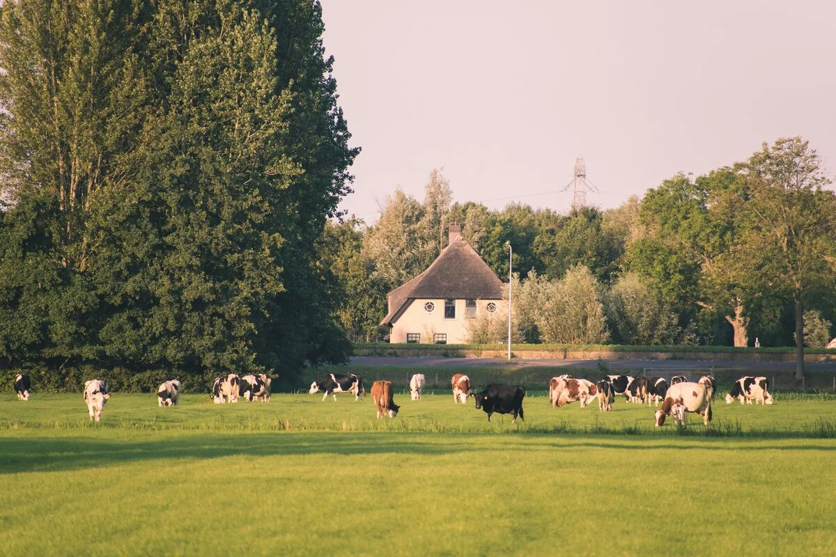 Agrarische ondernemer op het land
