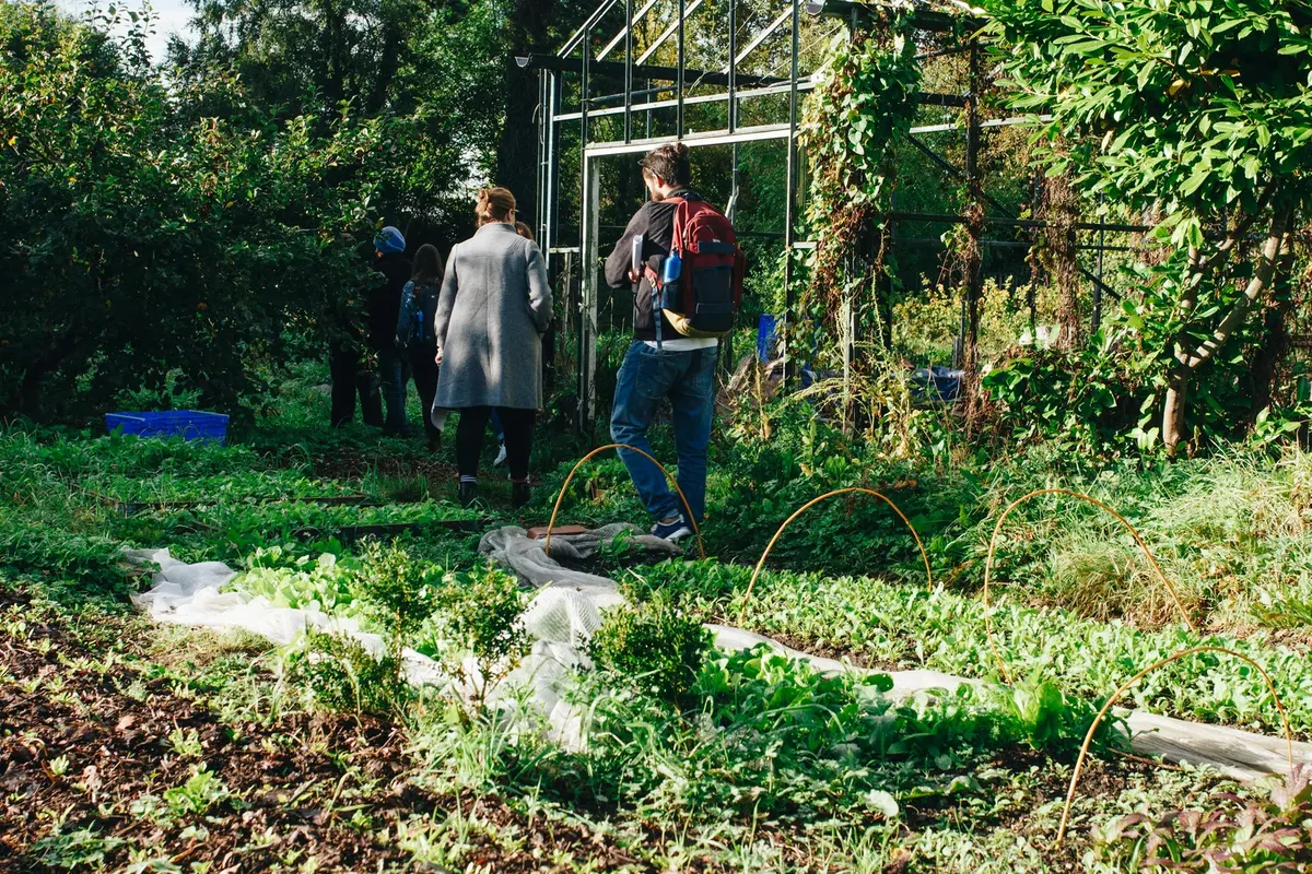Bezoekers lopen tussen de bedden van een pluktuin